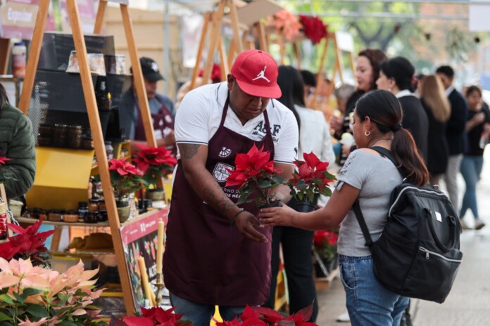 Arranca el Festival de Flores de Nochebuena: Un Colorido Preámbulo Navideño en Paseo de la Reforma