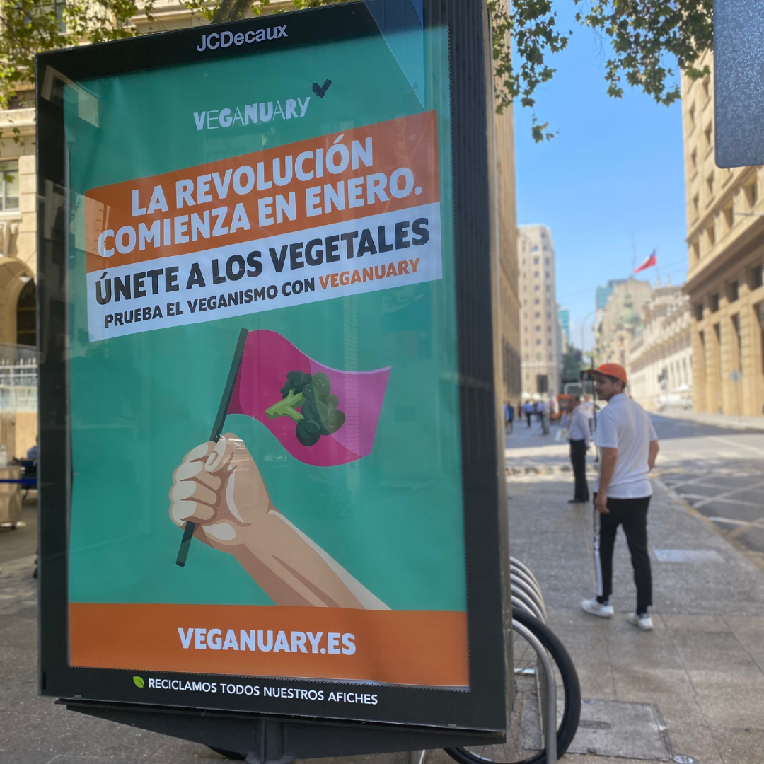 Campaña Enero Vegano se consolida en México con exitosos resultados