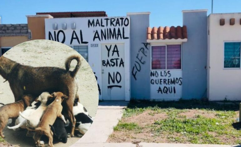 FGE de Sinaloa investiga envenenamiento de 3 perritos en Los Mochis