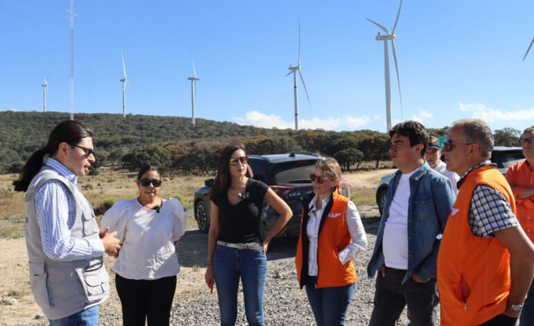 Llama Laura Ballesteros al Gobierno federal a trazar ruta de transición urgente hacia las energías limpias