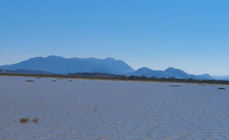 Sólo un Decreto Presidencial como zona de Restauración Ecológica podrá salvar al lago de Cuitzeo