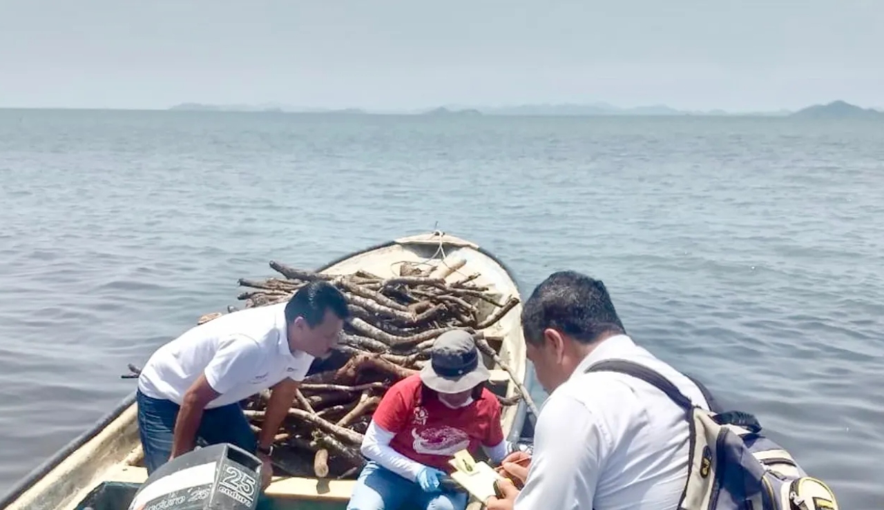 China apura a México para investigar caso de naufragio de 8 migrantes chinos