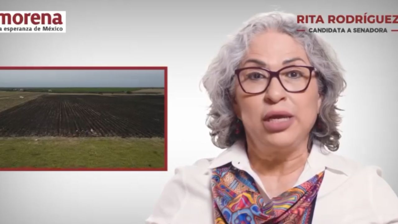 “Sin maíz no hay país”: Rita Rodríguez propone hacer de “Sembrando Vida” un derecho
