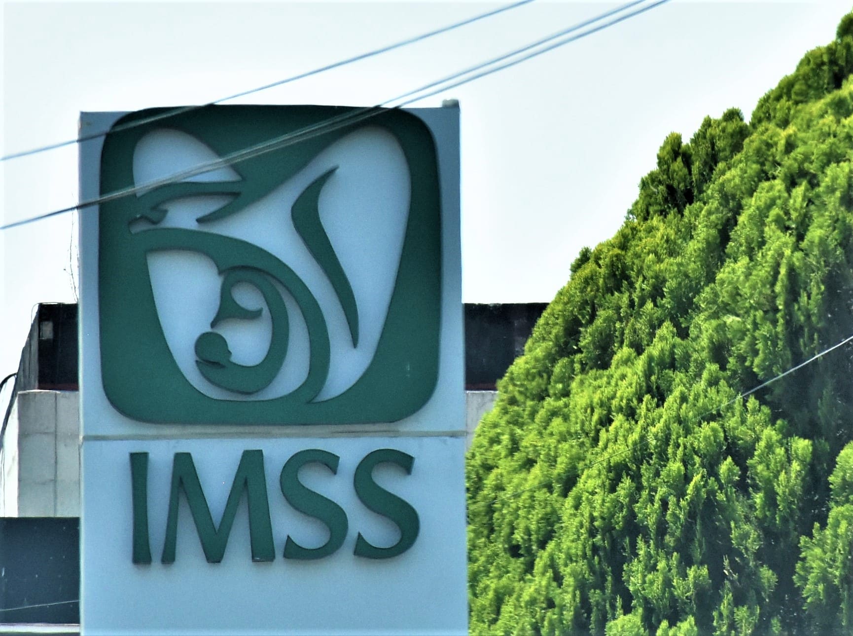 Incrementa IMSS más de 60 por ciento su recaudación y rebasa los 500 mil mdp